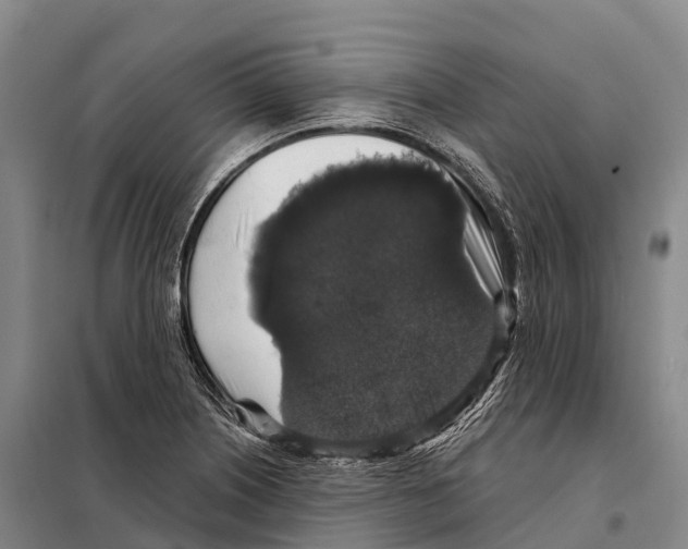 X0000098011226200804251107