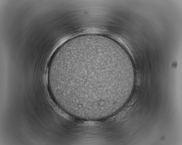 X0000098011227200804251107