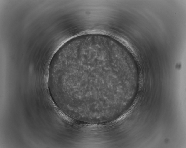 X0000098011228200804251107