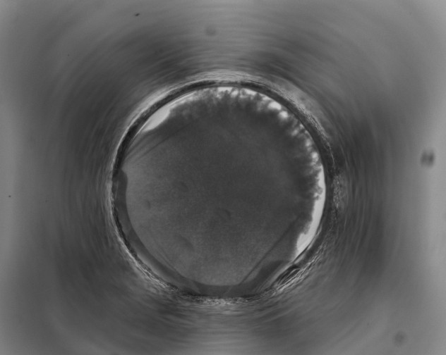 X0000098011229200804251107