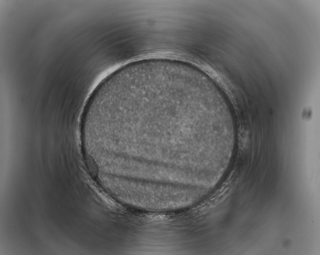 X0000098011230200804251107