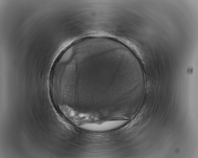 X0000098011231200804251107