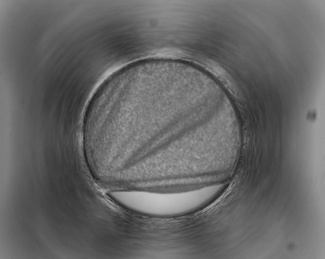 X0000098011232200804251107