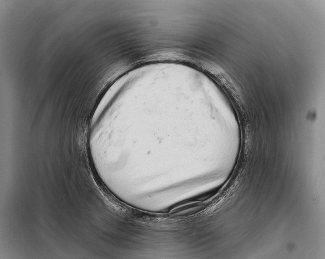 X0000098011233200804251107