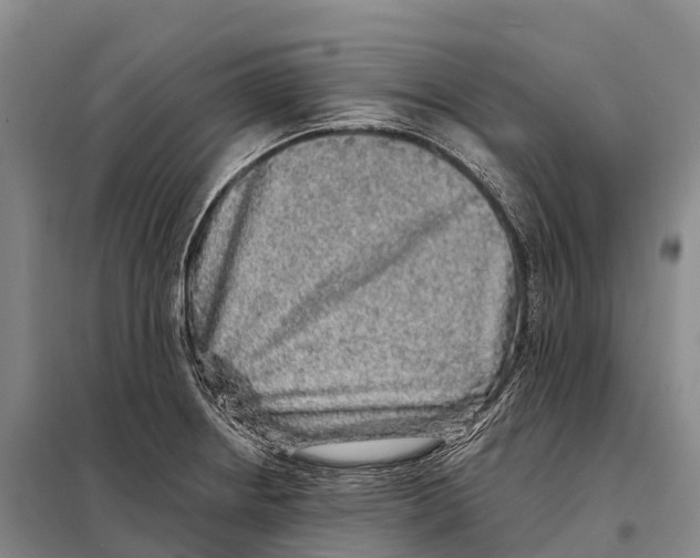 X0000098011234200804251107