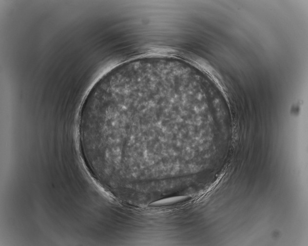 X0000098011235200804251107