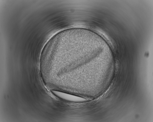 X0000098011236200804251107