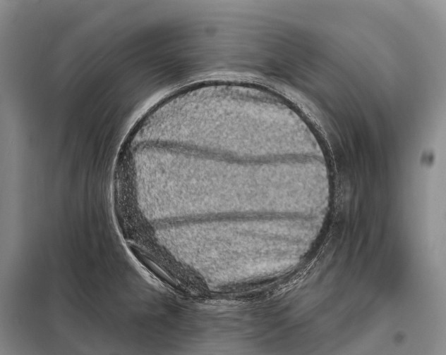 X0000098011237200804251107