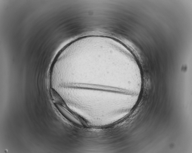 X0000098011238200804251107