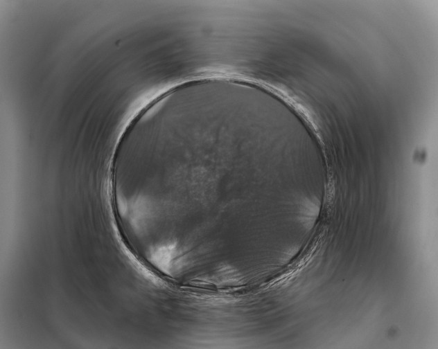 X0000098011239200804251107