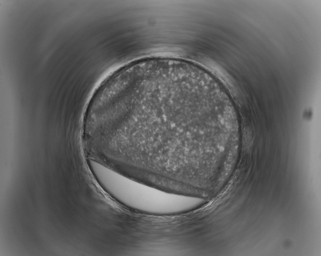 X0000098011240200804251107