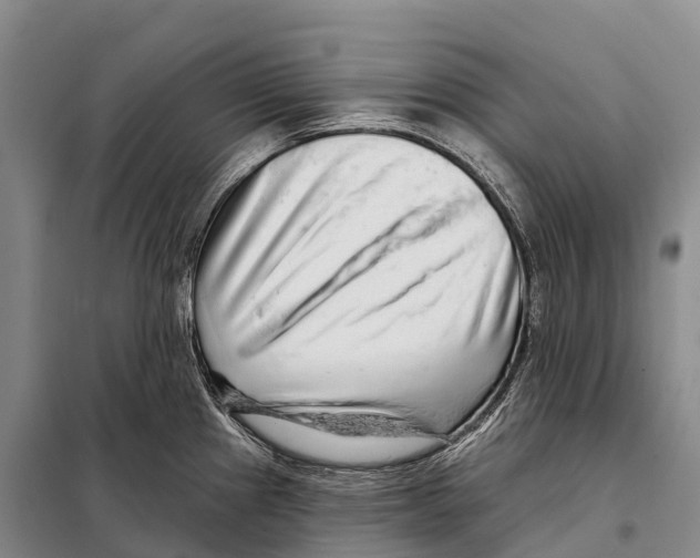 X0000098011241200804251107