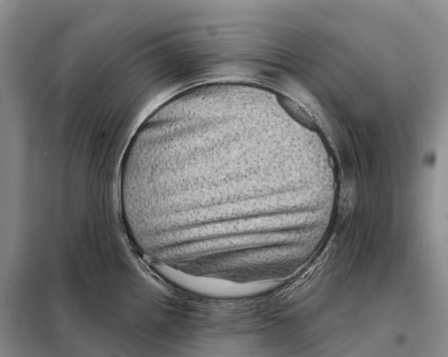 X0000098011242200804251107