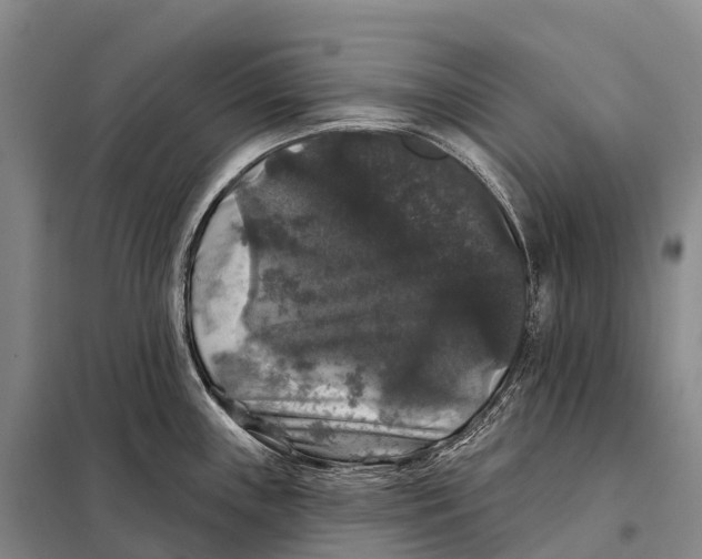 X0000098011243200804251107