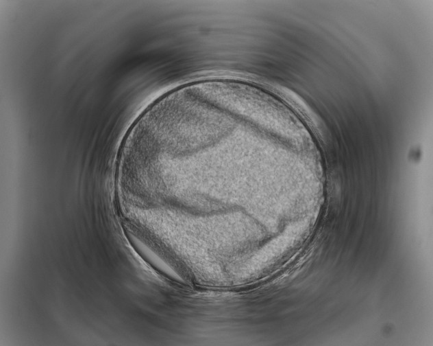 X0000098011244200804251107