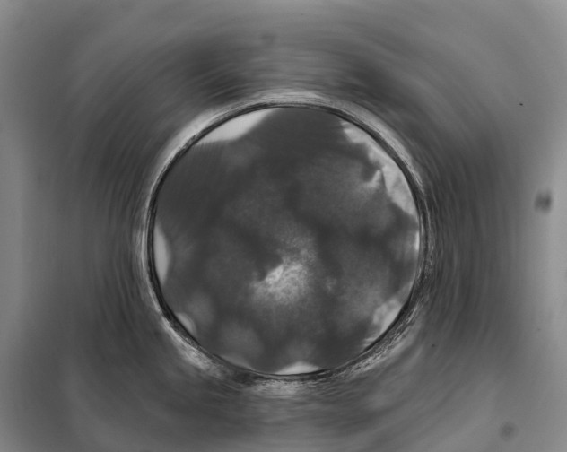 X0000098011245200804251107