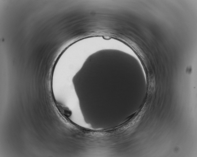 X0000098011246200804251107