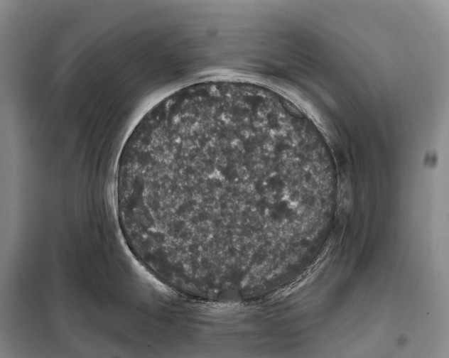 X0000098011247200804251107