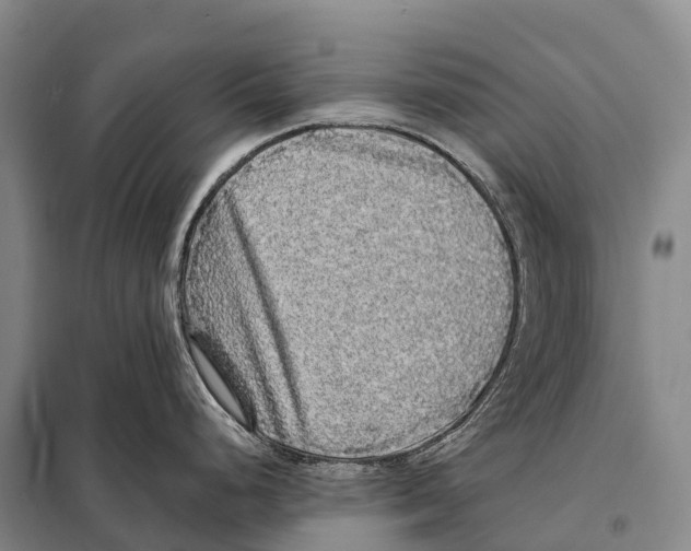 X0000098011248200804251107