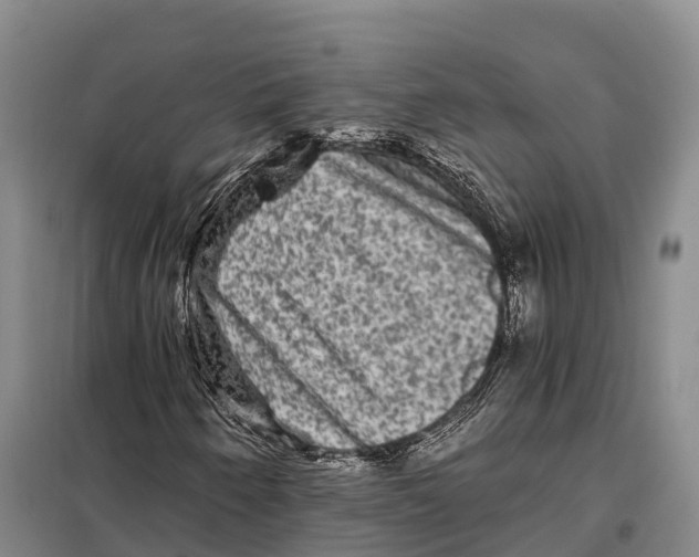 X0000098011250200804251106