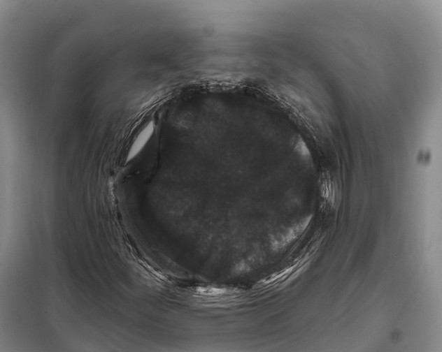 X0000098011252200804251106