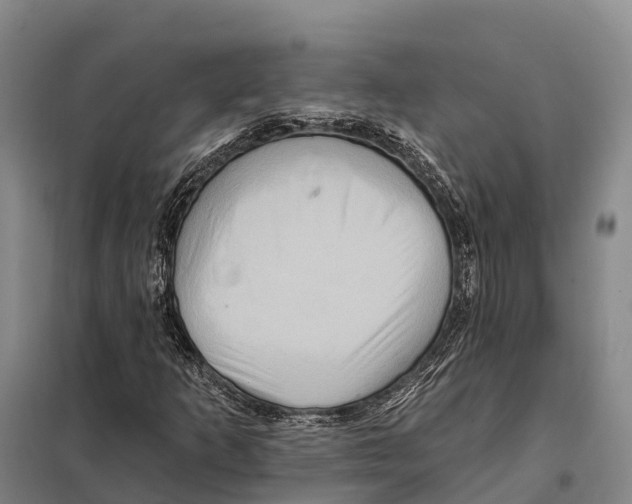 X0000098011253200804251106