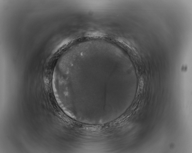 X0000098011254200804251106