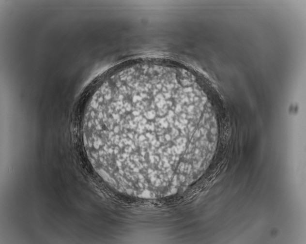 X0000098011255200804251106