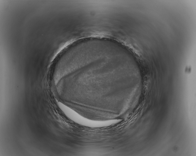 X0000098011256200804251106