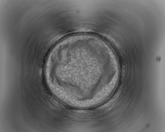 X0000098011257200804251106