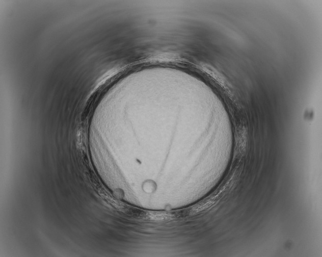 X0000098011258200804251106