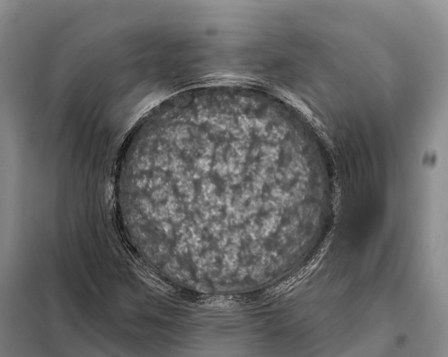 X0000098011259200804251106