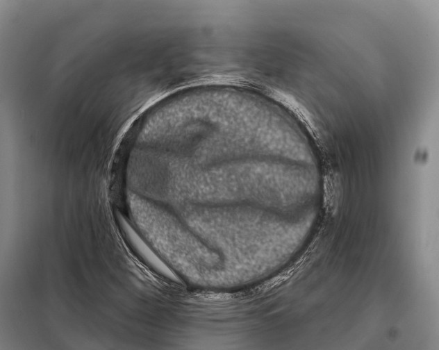 X0000098011260200804251106