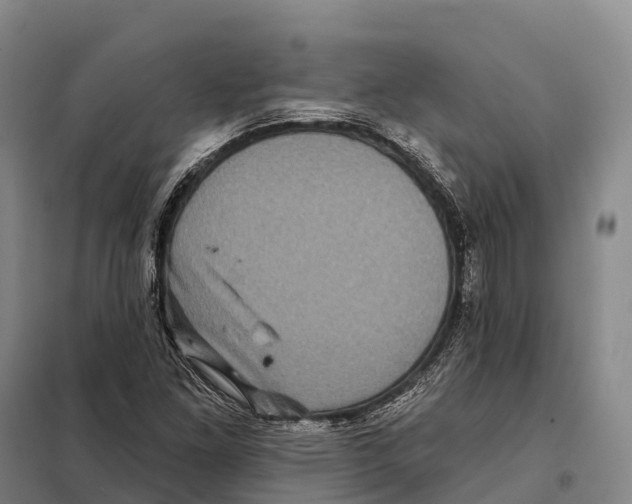 X0000098011261200804251106