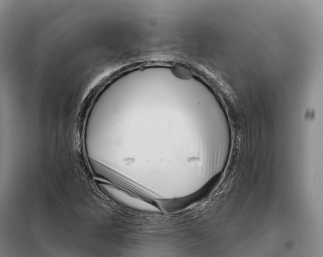 X0000098011262200804251106