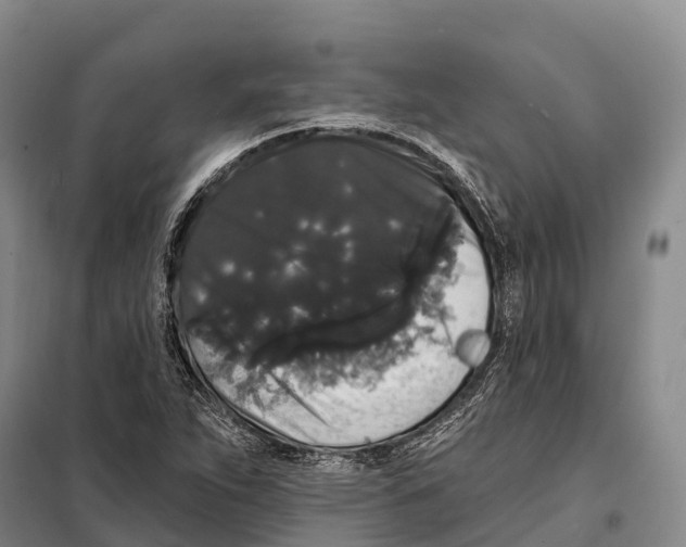 X0000098011263200804251106