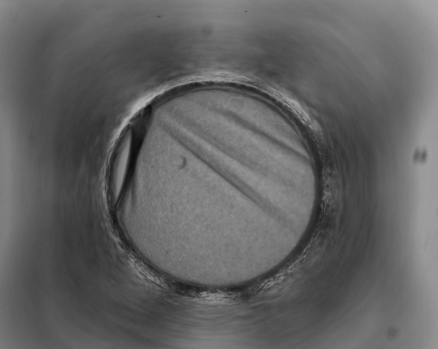 X0000098011264200804251106