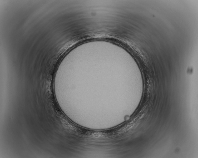 X0000098011265200804251106