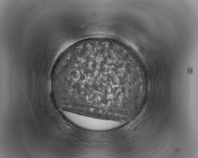 X0000098011267200804251106