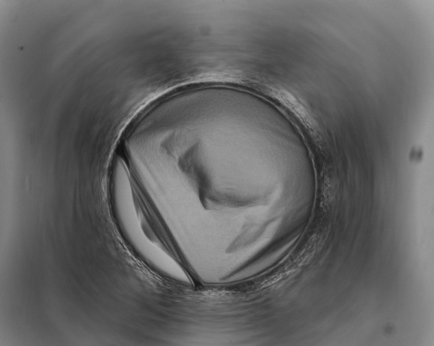 X0000098011268200804251106