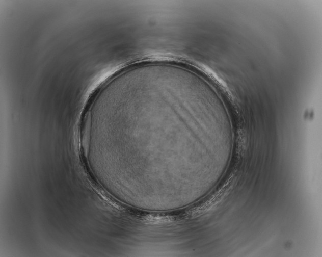 X0000098011269200804251106