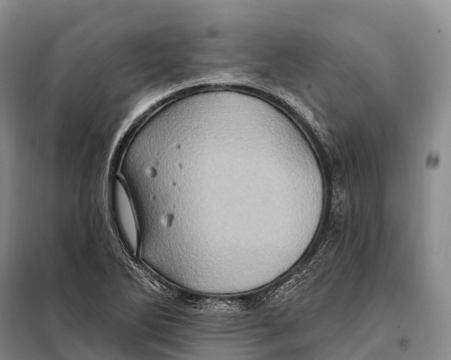 X0000098011270200804251106