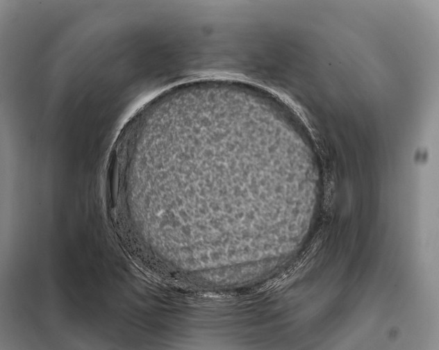 X0000098011271200804251106