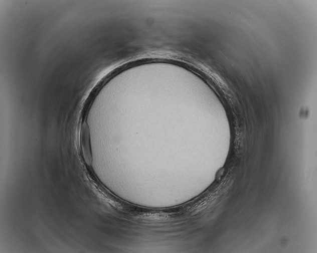 X0000098011272200804251106