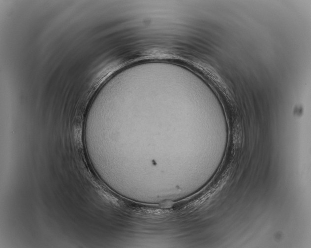 X0000098011273200804251106