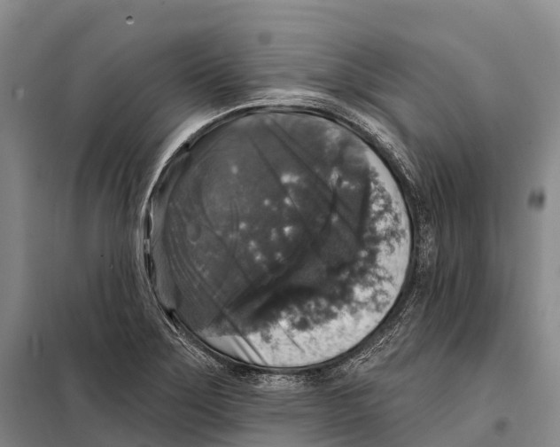 X0000098011275200804251106