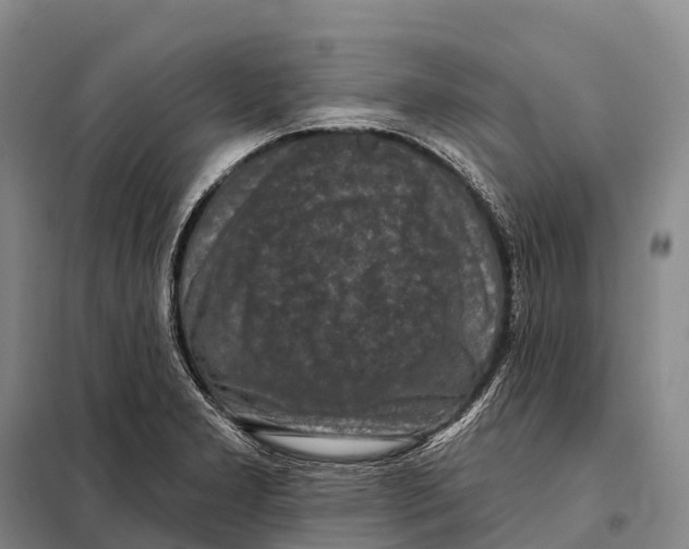 X0000098011277200804251106