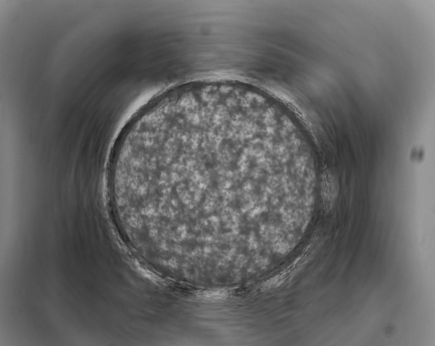 X0000098011278200804251106