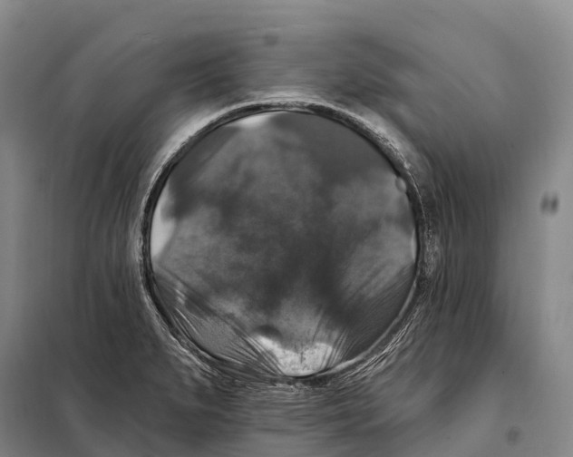 X0000098011279200804251106