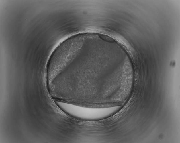 X0000098011280200804251106